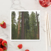 Serviette En Papier Mariposa Grove dans le parc national de Yosemite (En situation)