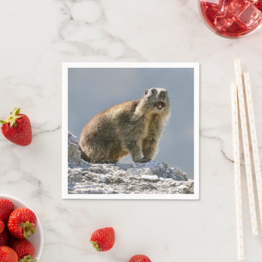 Serviette En Papier Marmotte alpine sur roche (En situation)