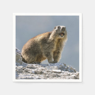 Serviette En Papier Marmotte alpine sur roche