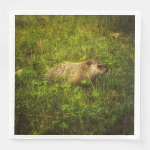 Serviette En Papier Marmotte de fond dans une serviette de campagne