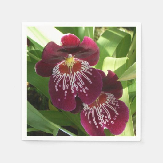 Serviette En Papier Maroon Orchids II (Devant)