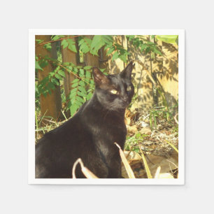 Serviette En Papier Matin Sun de chat noir