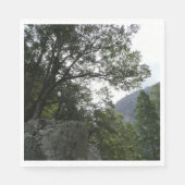 Serviette En Papier Matin sur le sentier à Vernal Falls à Yosemite (Devant)