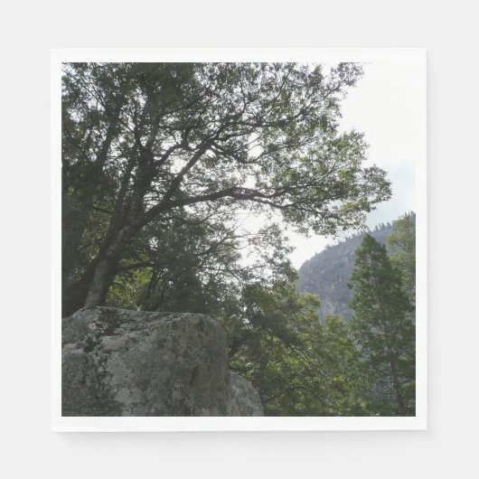 Serviette En Papier Matin sur le sentier à Vernal Falls à Yosemite (Devant)