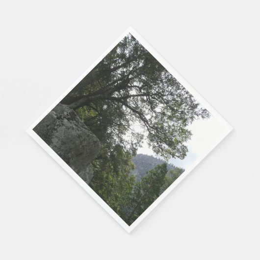 Serviette En Papier Matin sur le sentier à Vernal Falls à Yosemite (Coin)