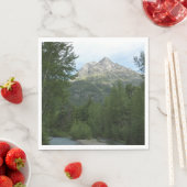 Serviette En Papier McDonald Creek au parc national des Glaciers (En situation)