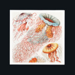 Serviette En Papier Méduse, Discomedusae par Ernst Haeckel<br><div class="desc">Méduse,  Discomedusae Scheibenquallen par Ernst Haeckel Napkin</div>