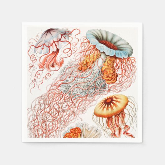 Serviette En Papier Méduse, Discomedusae par Ernst Haeckel (Devant)