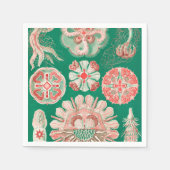 Serviette En Papier Méduse, Discomedusae par Ernst Haeckel (Devant)