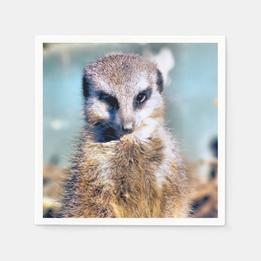 SERVIETTE EN PAPIER MEERKAT (Devant)