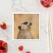 Serviette En Papier Meerkat20151002 (En situation)