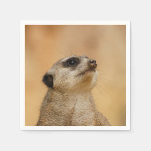 Serviette En Papier Meerkat20151002