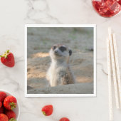 Serviette En Papier Meerkat 004 (En situation)