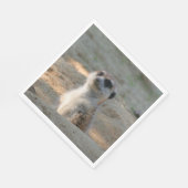 Serviette En Papier Meerkat 004 (Coin)