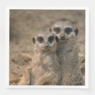 Serviette En Papier Meerkat 067