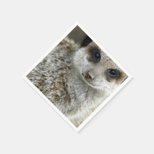 Serviette En Papier meerkat-16.jpg