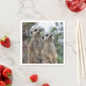 Serviette En Papier Meerkat-Dreamteam (En situation)