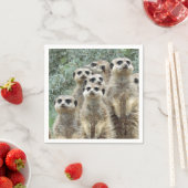 Serviette En Papier Meerkat-Group 001 (En situation)