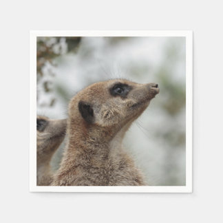 Serviette En Papier Meerkat-Portrait 005
