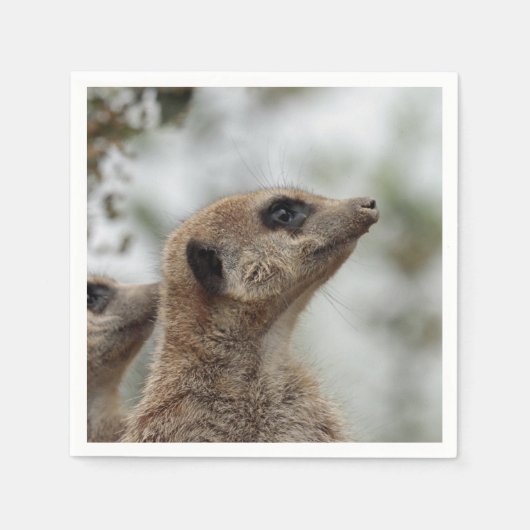 Serviette En Papier Meerkat-Portrait 005 (Devant)