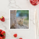 Serviette En Papier Meerkat Sat sur arbre (En situation)