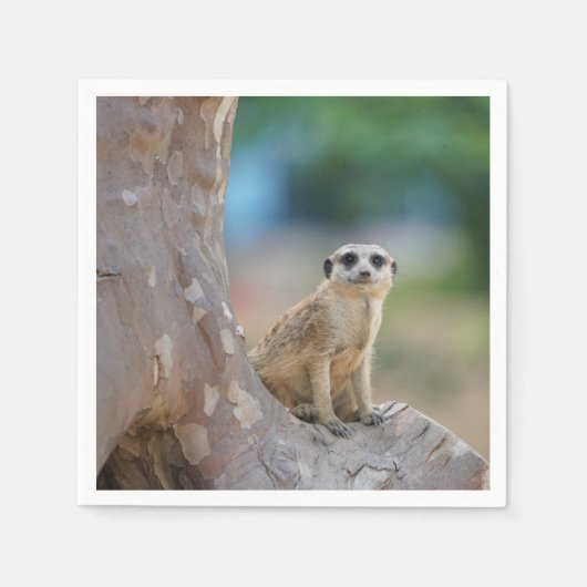 Serviette En Papier Meerkat Sat sur arbre (Devant)