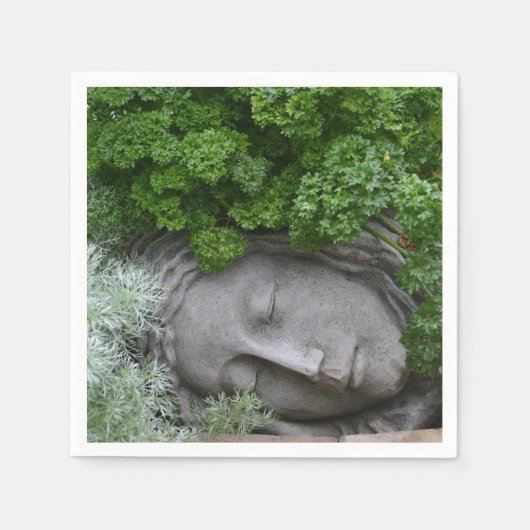 Serviette En Papier Mère Nature (Devant)