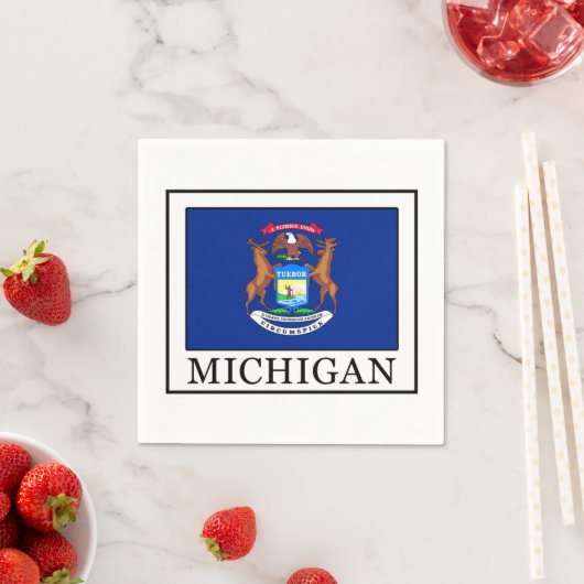 Serviette En Papier Michigan (En situation)