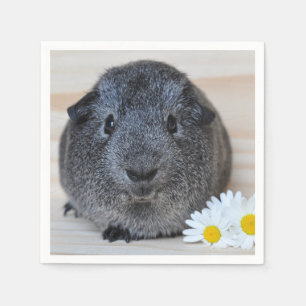 Serviette En Papier Mignon lissez, le cobaye d'agouti et les