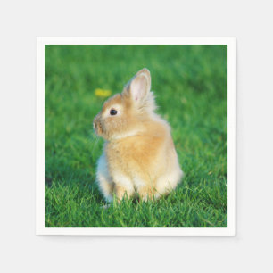 Serviette En Papier Mignonne Lapin Faune assis dans l'herbe