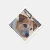 Serviette En Papier Mignonnes serviettes pour chien (Coin)