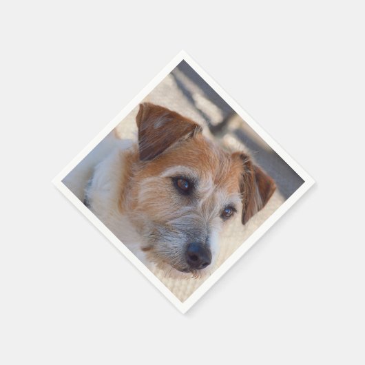 Serviette En Papier Mignonnes serviettes pour chien (Coin)