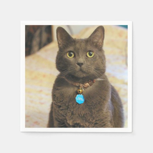 Serviette En Papier Mims (Devant)