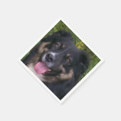 Serviette En Papier Miniature American Shepherd Black Tri (Coin)