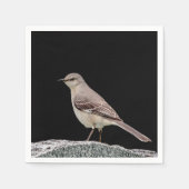 Serviette En Papier Mockingbird sur une pierre tombale (Devant)