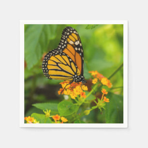 Serviette En Papier Monarque sur Lantana