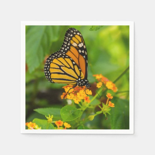 Serviette En Papier Monarque Sur Lantana (Devant)