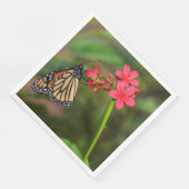 Serviette En Papier Monarque sur les fleurs de Penta (Coin)