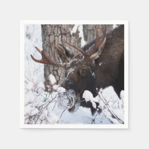 Serviette En Papier Moose chilienne