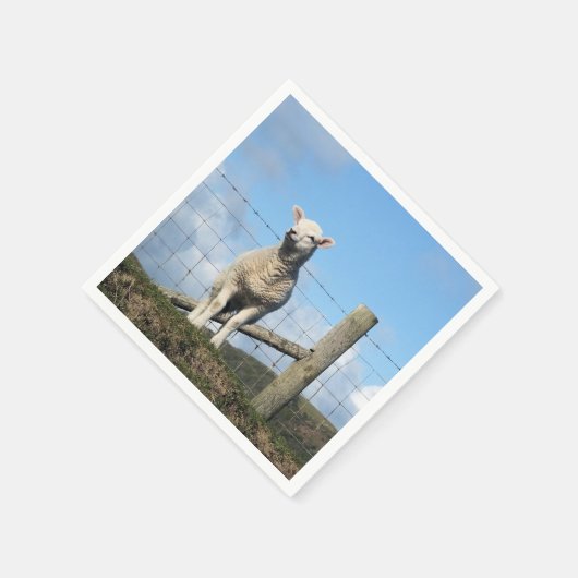 SERVIETTE EN PAPIER MOQUETTE (Coin)