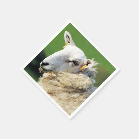 SERVIETTE EN PAPIER MOQUETTE (Coin)