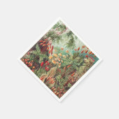 Serviette En Papier Mosses, Muscinae Laubmoose par Ernst Haeckel (Coin)