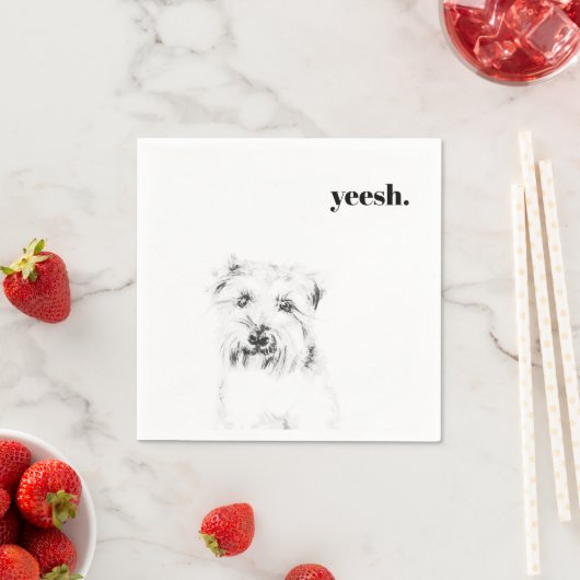 Serviette En Papier Mouchoirs Dash le Chien (En situation)