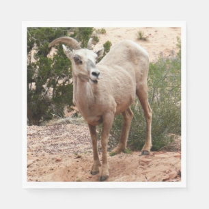 Serviette En Papier Mouflons drôles à Zion National Park