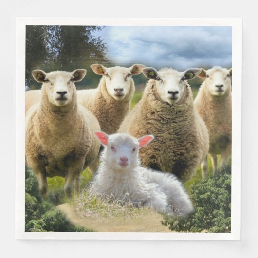 Serviette En Papier Mouton d'agneau de bébé (Devant)