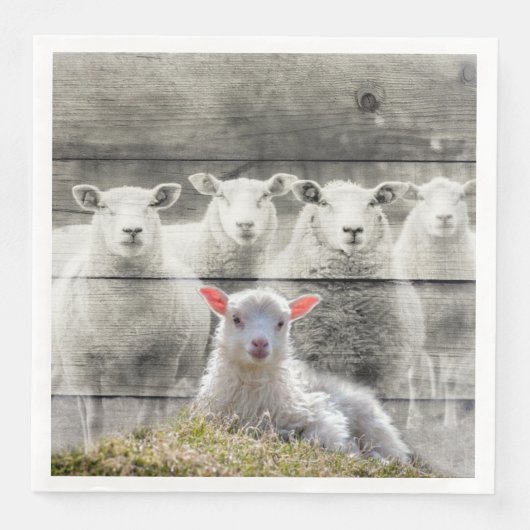 Serviette En Papier Mouton d'agneau de bébé (Devant)