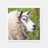 SERVIETTE EN PAPIER MOUTONS MIGNONS (Devant)