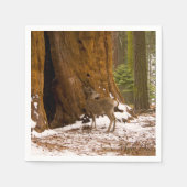 Serviette En Papier Mule Deer (Devant)