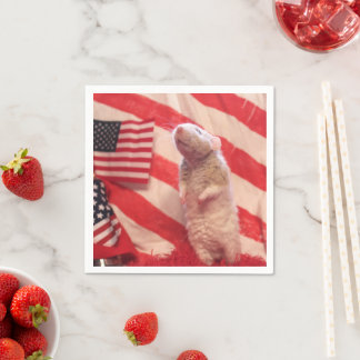 Serviette En Papier Murray patriotique