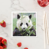 Serviette En Papier Napkins Panda géant photo, animaux 0302. (En situation)